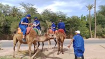 Experience Camel Ride Sunset or Anytime 