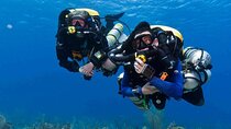 Advanced Diving Course in the Gorgeous Red Sea – Sharm El Sheikh