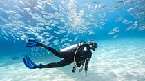 Advanced PADI Diving Course with Lunch & Transfer – Hurghada