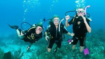 Experience Diving Beginner's Trip with Lunch in Sharm El Sheikh