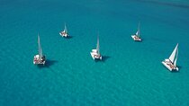 Full Day Catamaran Tour to Isla Mujeres with Diving