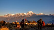 Pokhara: 4 Days Private Poon Hill Ghandruk Trek