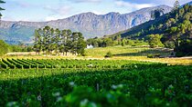 Cape Winelands shared day tour from Cape Town to Stellenbosch and Franschhoek