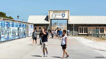 Robben Island and Table Mountain City Guided Full Day Tour