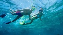 Beach Snorkeling Adventure in Lauderdale by the Sea