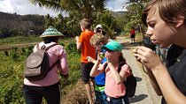 Imogiri walking tours