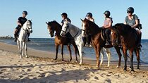 Horse Riding on Hurghada Desert and Beach