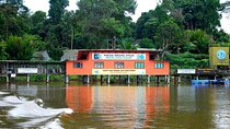 Orang Utan Island and Ipoh Private Day Tour from Kuala Lumpur