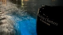 Private Bioluminescence Tour in Grand Cayman