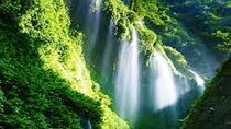 Surabaya-Bromo-Ijen blue fire-Bali, All Entrance Included, 2N3D
