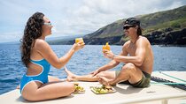 Luxury Kona Coast Snorkel Tour Including Lunch 