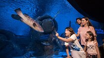 Antalya Aquarium with Entrance and Roundtrip Transfer from Alanya