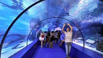 Antalya Aquarium with Entrance & Roundtrip Transfer from Side