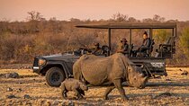  Morning or Afternoon Game Drive In Victoria Falls 