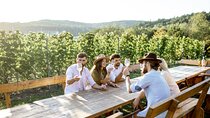 Stancija Collis: A Winery Adventure Tour in Rovinj