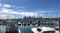 Private Auckland Half Day Tour