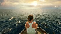 Marsa Alam: Sataya Dolphin House Snorkeling Trip