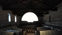 Private Etna tour with wine tasting and lunch