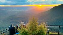 Late Start Blue Mountains Nature, Waterfalls, Koalas Small Group 