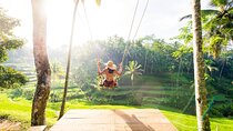 Ubud Full Day Tour Waterfall Monkey Forest Rice Terrace