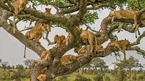 8 Days Tour in Kenya and Tanzania