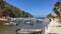 Remote Hidden Beaches Hike of South Shore (Puerto Vallarta)