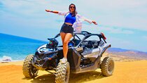 UTV and Camel Ride in the Cabo Desert