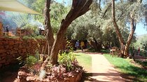 VIP Excursion to Ourika Valley and Lunch at Elzguerona Restaurant