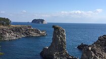 Handam Coastal Road & Camellia Hill - Private Tour west of jeju