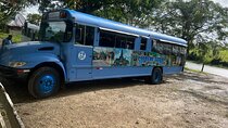 Punta Cana, City n Beach Tour: 4x4, Zip Line, Horse Ride and more