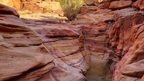 Discover Canyon Salama with Snorkeling : Sharm El-Sheikh