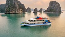 Cozy Bay Premium Cruise – Halong Bay Luxury 1 Day - BUFFET LUNCH