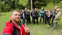 13 km hike in Borjomi - Group tour from Tbilisi