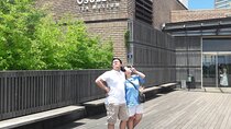 Jeju Island Private Taxi Tour in O`sulloc & Innisfree & Iho Beach