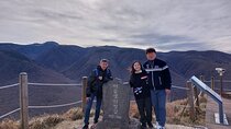 Jeju Island Private Taxi Tour: Mt. Hallasan and Waterfalls