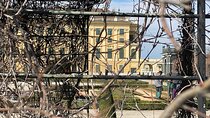 Schönbrunn Palace Park Tour
