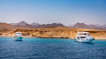 Ras Mohammed and White Island Snorkeling Sea Trip with Lunch