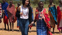 12-Hour Private Tour to Amboseli National Park