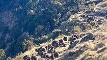 3 Day Simien Mountains Tours