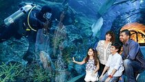 Dubai Mall Aquarium and Under Water Zoo and Ski Dubai Combo