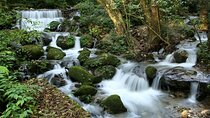 Shivapuri National Park Day Hike from Kathmandu