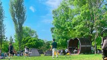 Local Seoul Tour at Traditional Market with Han River Picnic