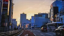 Private Tokyo Shinjuku Bus Tour with Licensed Guide