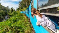 Sri Lanka tour 8 Days with a private driver, hotels, and vehicle