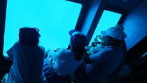 Snorkeling excursion in semi-submarine withِ transfer - Hurghada