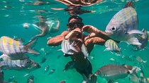 Full Day Tour to Angra dos Reis with Lunch