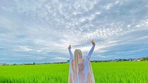 Paddy Field Experience with Real Agricultural Activities