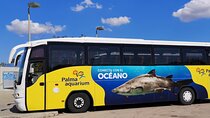 Ticket + Transfer to Palma Aquarium