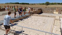 5 hour Electric Bike Tour to the Ruins of Italica