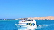 Private Half-Day Swimming, Watching and Snorkeling with Dolphins